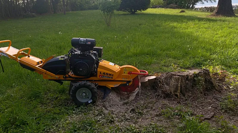 Wurzelfräse arbeitet sich in einen Baumstumpf auf dem Rasen