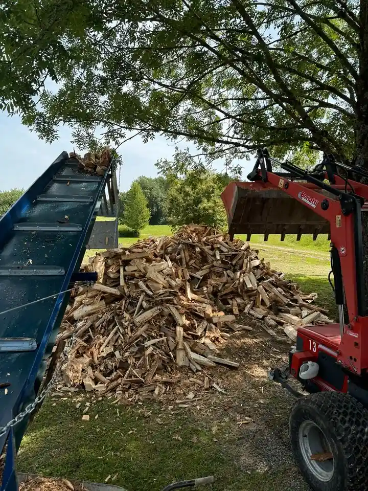 Förderband wirft frisch gespaltenes Holz auf einen Haufen