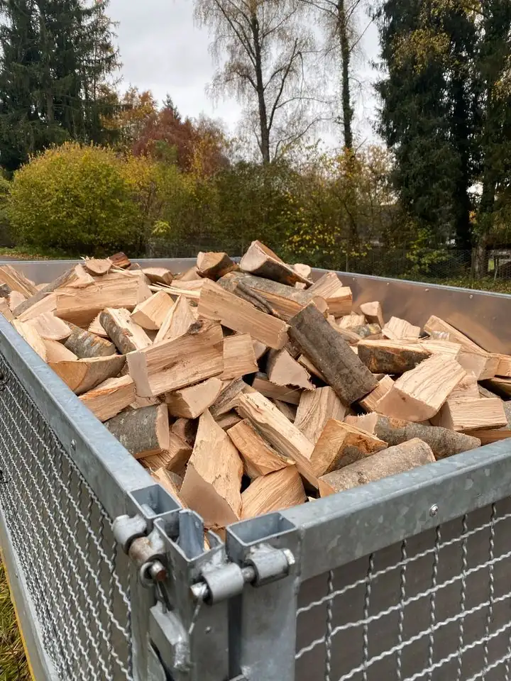 Voll beladener Anhänger mit Gitteraufsatz und Brennholz