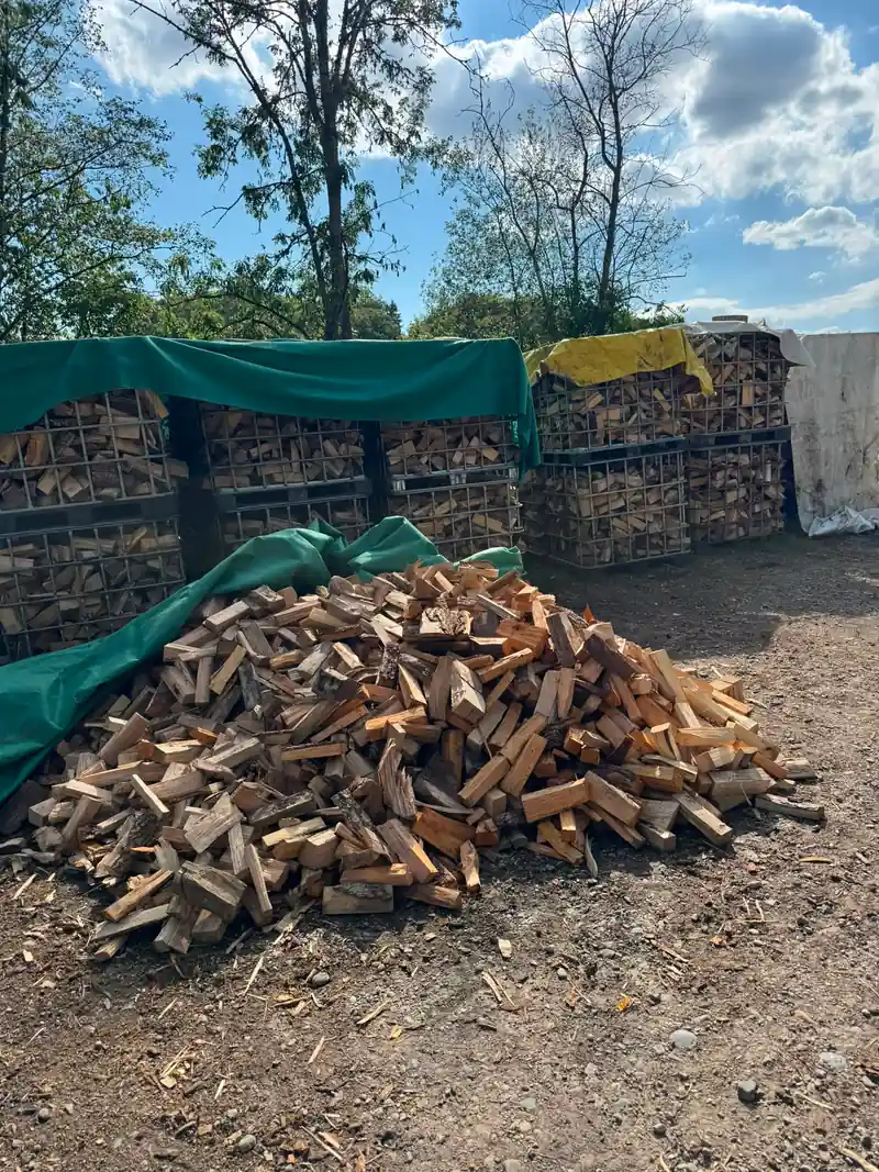 Frisch gespaltenes Brennholz vor gestapelten Gitterboxen am Holzplatz