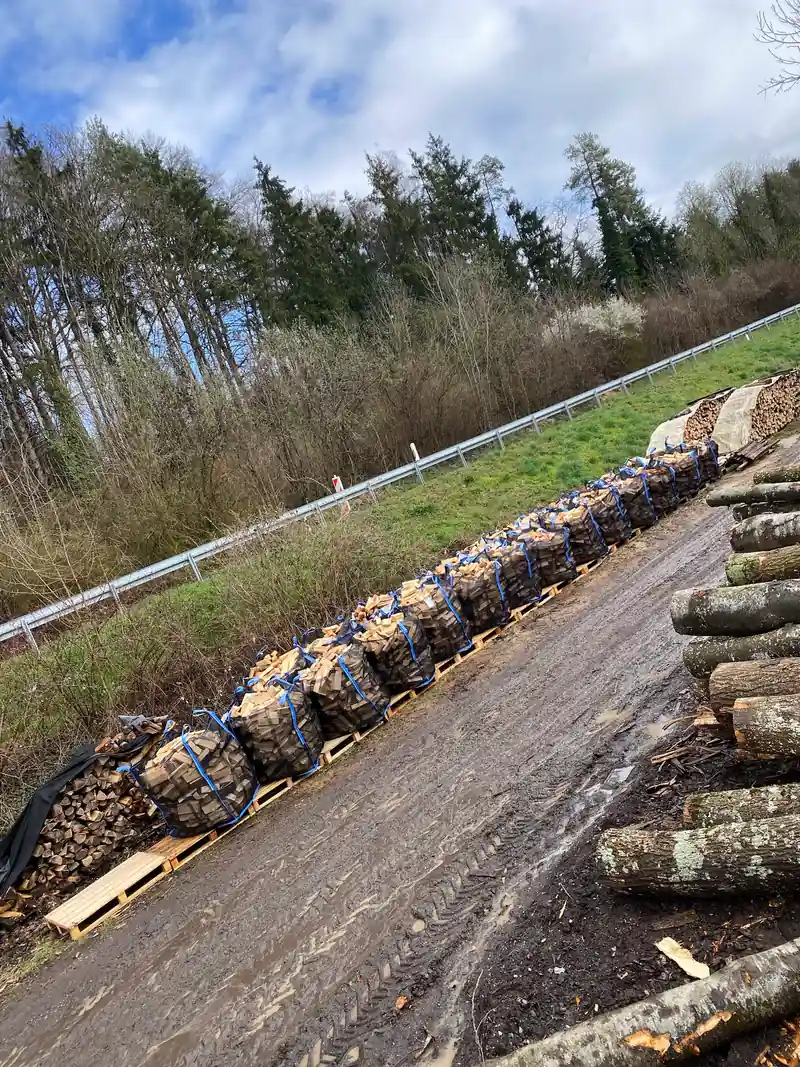 Brennholz auf Paletten in einer langen Reihe am Lagerplatz, daneben Stammholz